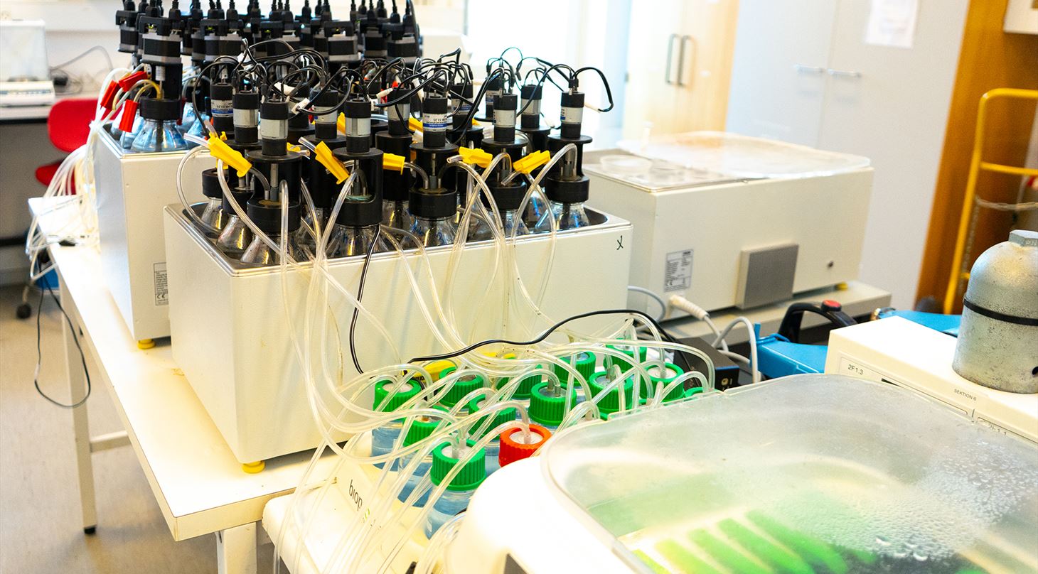 Analyse af biomasser til produktion af biogas